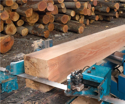 ใบเลื่อยสายพาน WOOD MASTER B